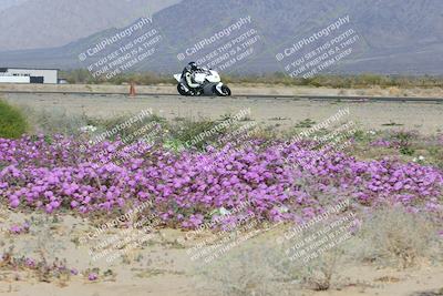 media/Feb-04-2023-SoCal Trackdays (Sat) [[8a776bf2c3]]/Turn 15 Inside Blooming (1050am)/